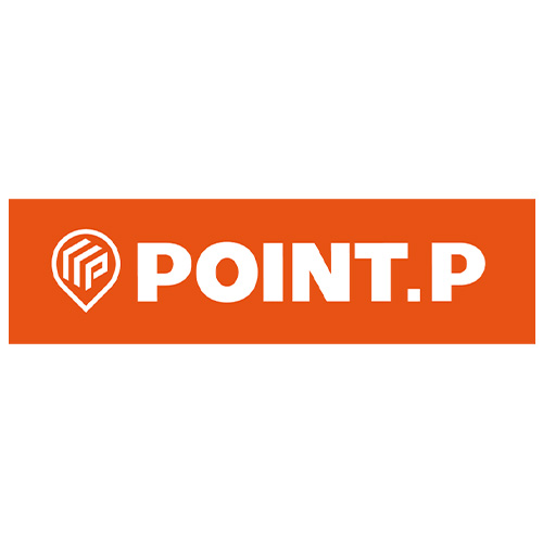 Point P